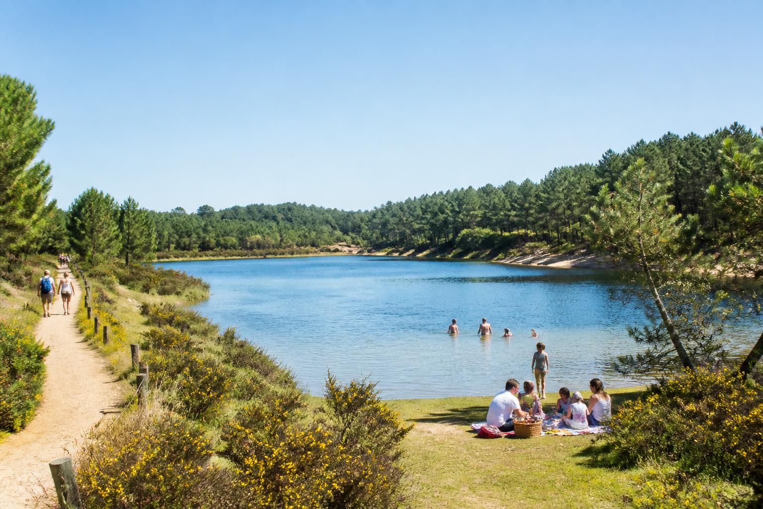 découvrez le lac des landes, un lieu idéal pour se baigner et explorer la beauté naturelle de la région. profitez d'activités nautiques, de sentiers de randonnée et d'espaces détente en pleine nature.