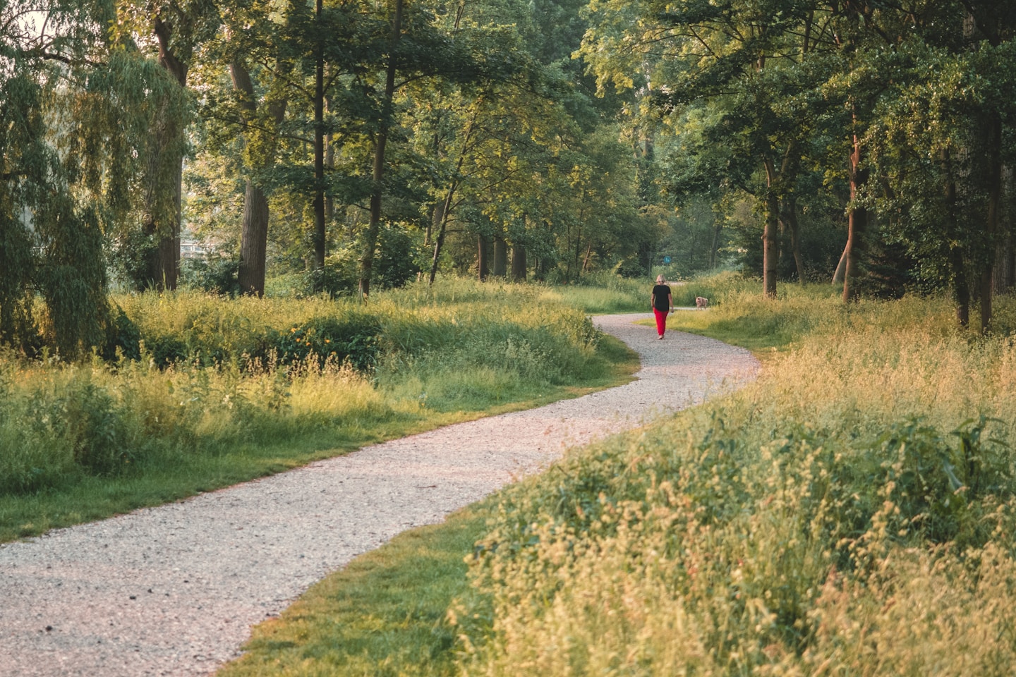 Wilderness in the city